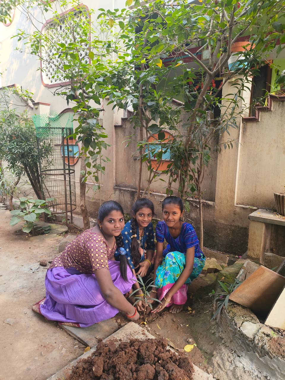 Save Nature